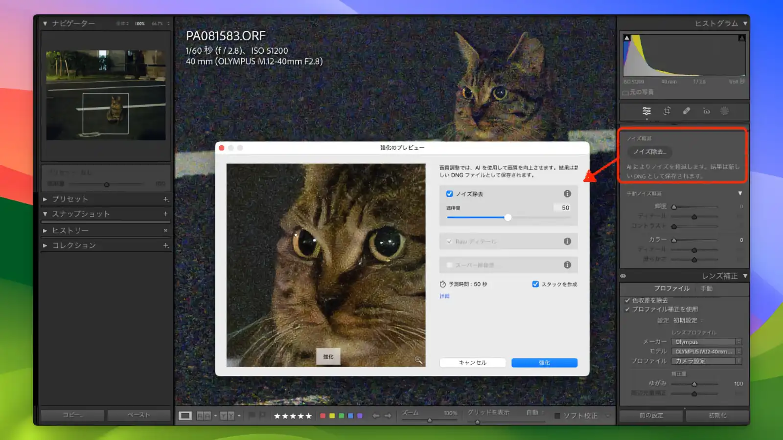 Adobe Lightroom - Low-light AI noise reduction_01