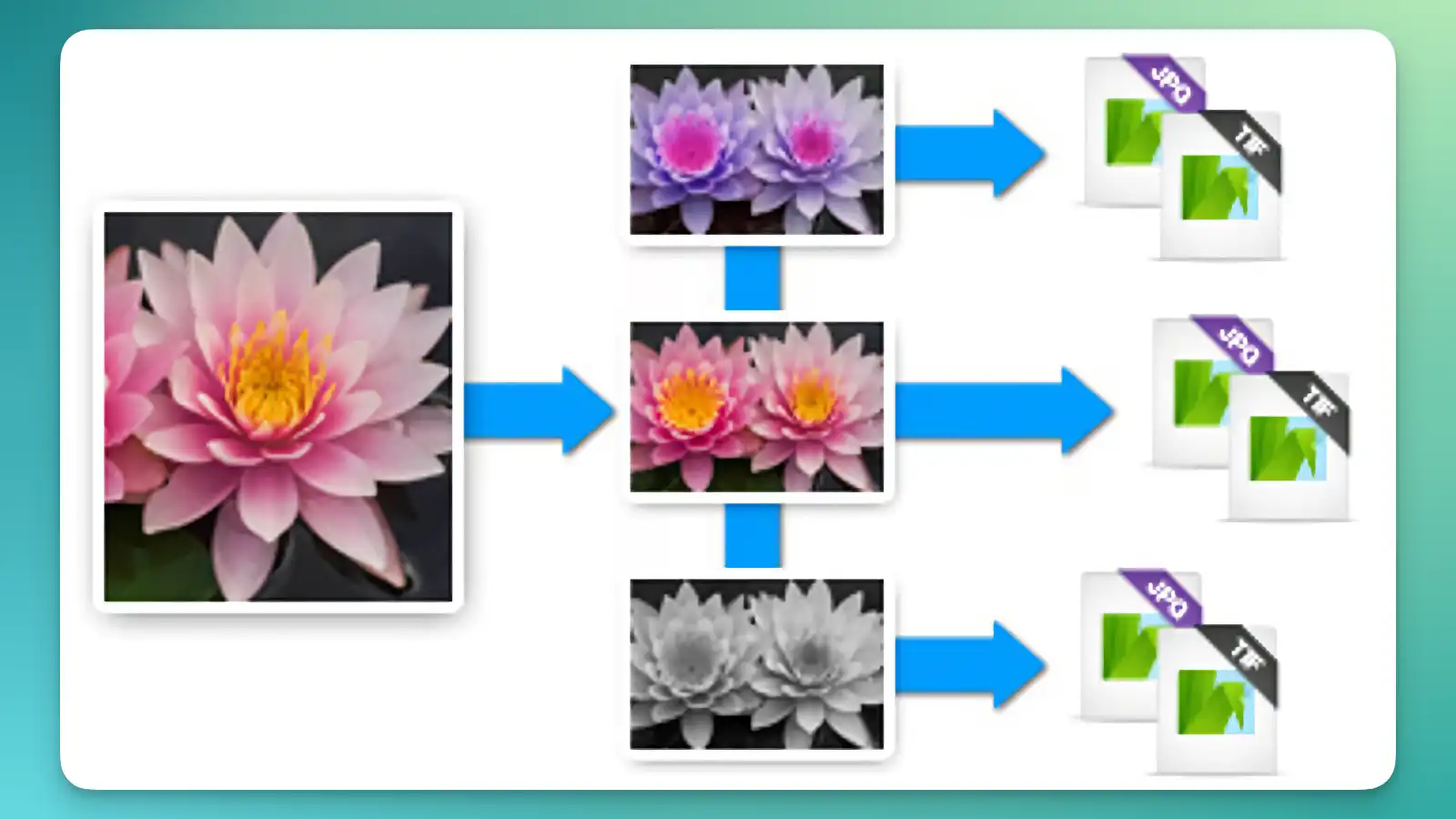 Corel AfterShot Pro - Non-destructive editing features_04