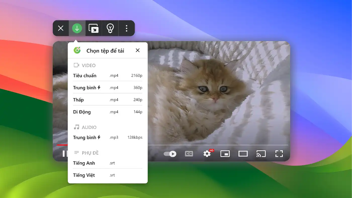 Cốc Cốc - Video download - 02