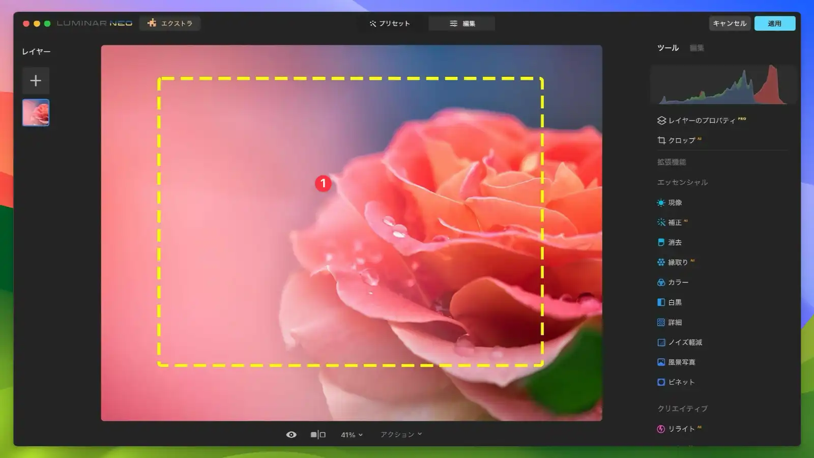 Luminar Neo - Advanced Layers_02