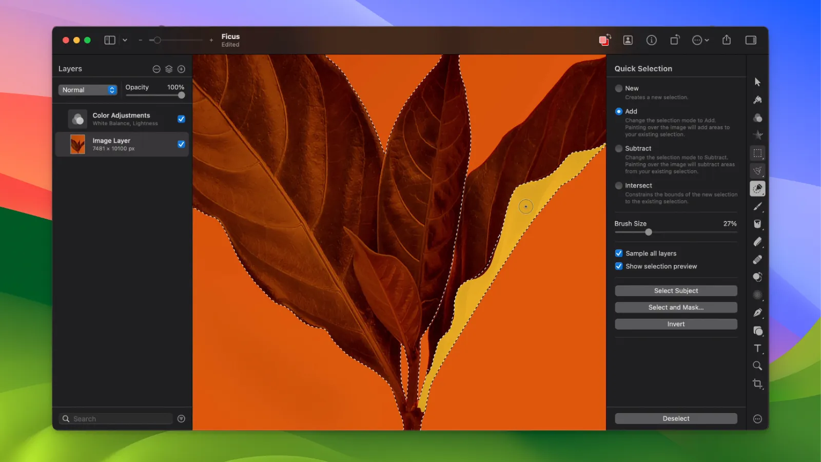 Pixelmator Pro - Smart Selection Tool_05