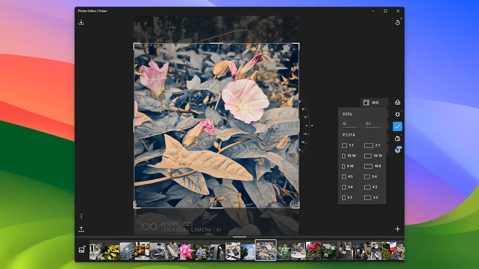 Polarr Pro - AI-powered auto-calibration_04