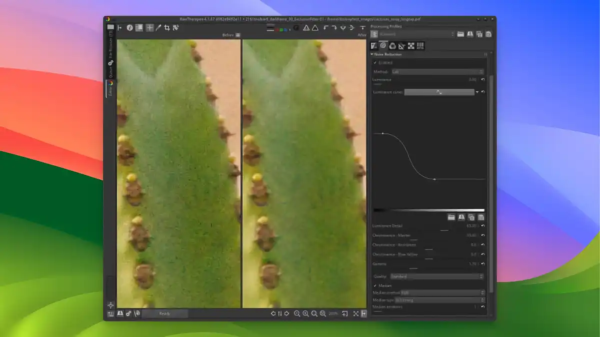 RawTherapee - Noise reduction_02