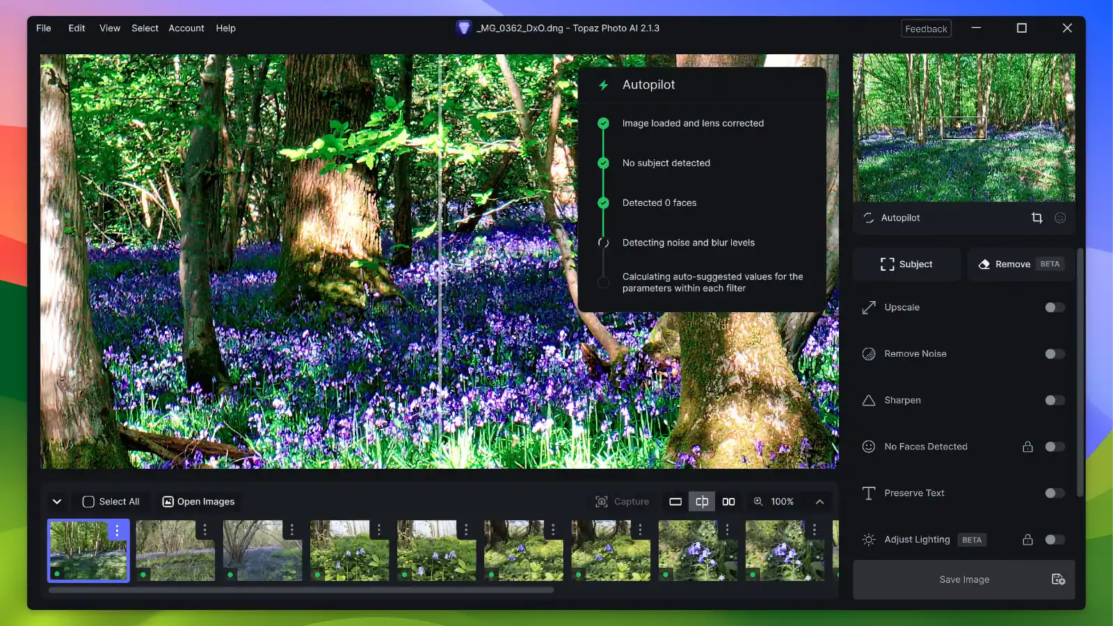 Topaz photo ai - Intuitive user interface_05