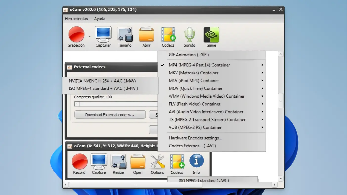 oCam 9 oCam - Create GIF - 03